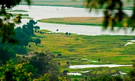 chobe chilwero